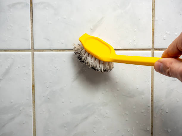 Best Mold Removal Process  in Basking Ridge, NJ