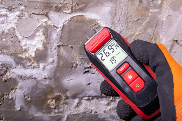 Best Mold Removal Company Near Me  in Basking Ridge, NJ