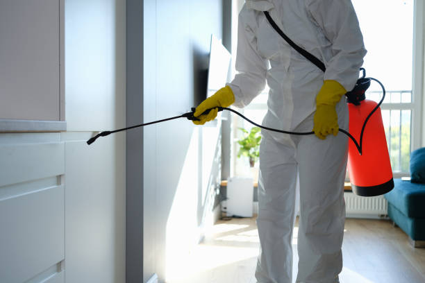 Best Residential Mold Removal  in Basking Ridge, NJ