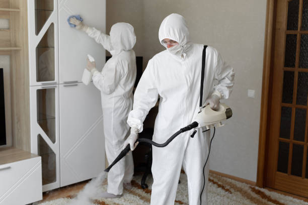 Best Attic Mold Removal  in Basking Ridge, NJ