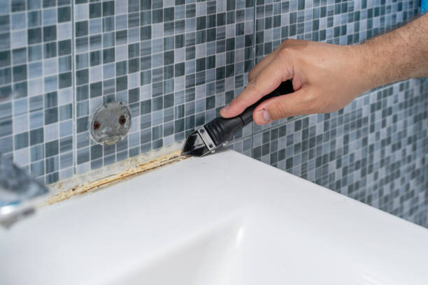 Best Emergency Mold Removal  in Basking Ridge, NJ